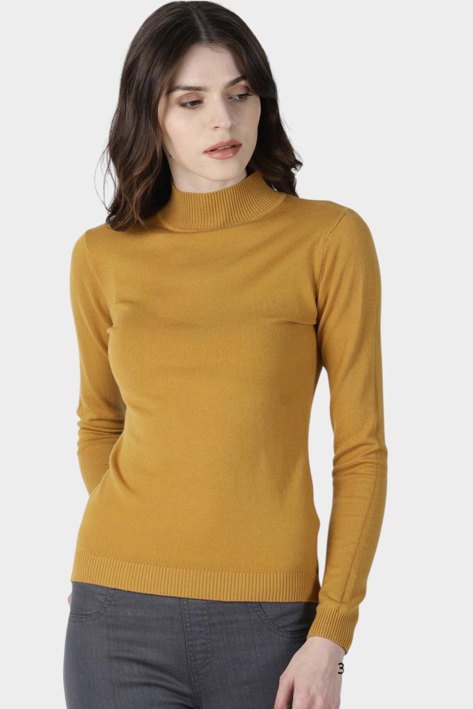 Mock Neck Fitted Long Sleeve Knit Top