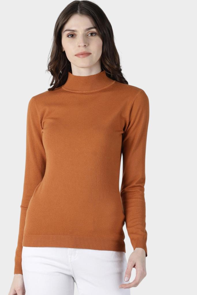 Mock Neck Fitted Long Sleeve Knit Top