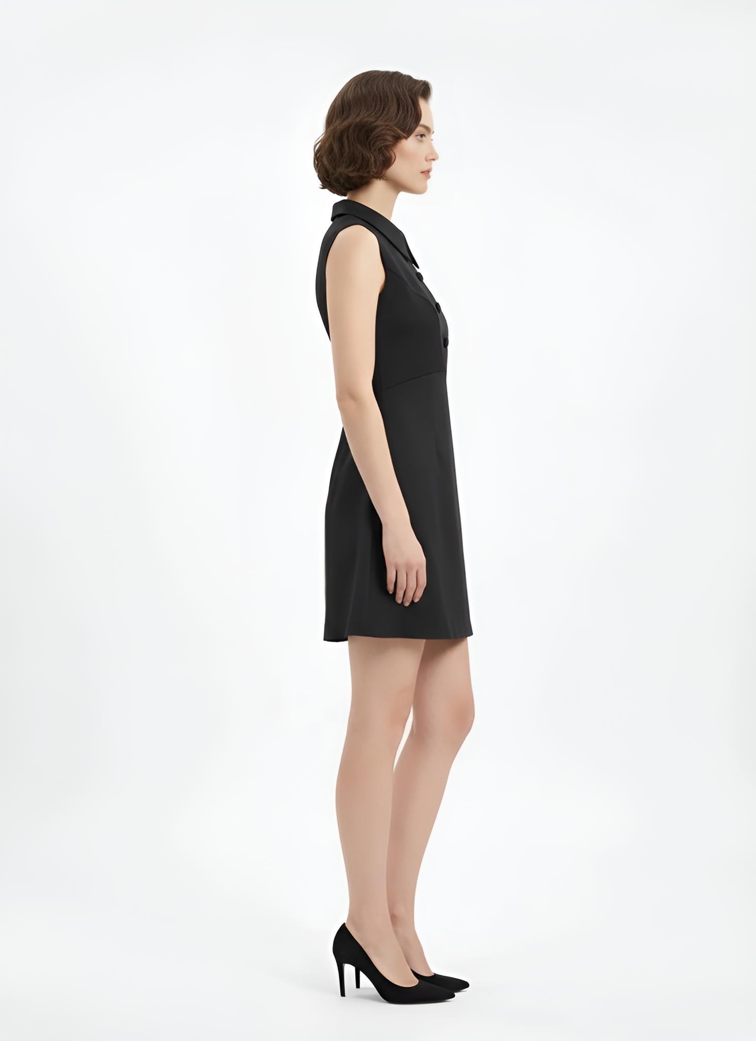Classic Sleeveless Little Black Dress
