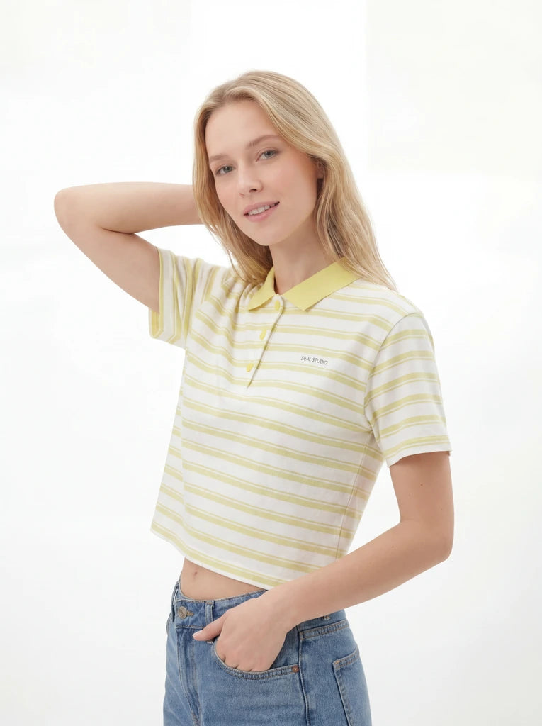 Striped Regular Fit Crew Neck T-Shirt