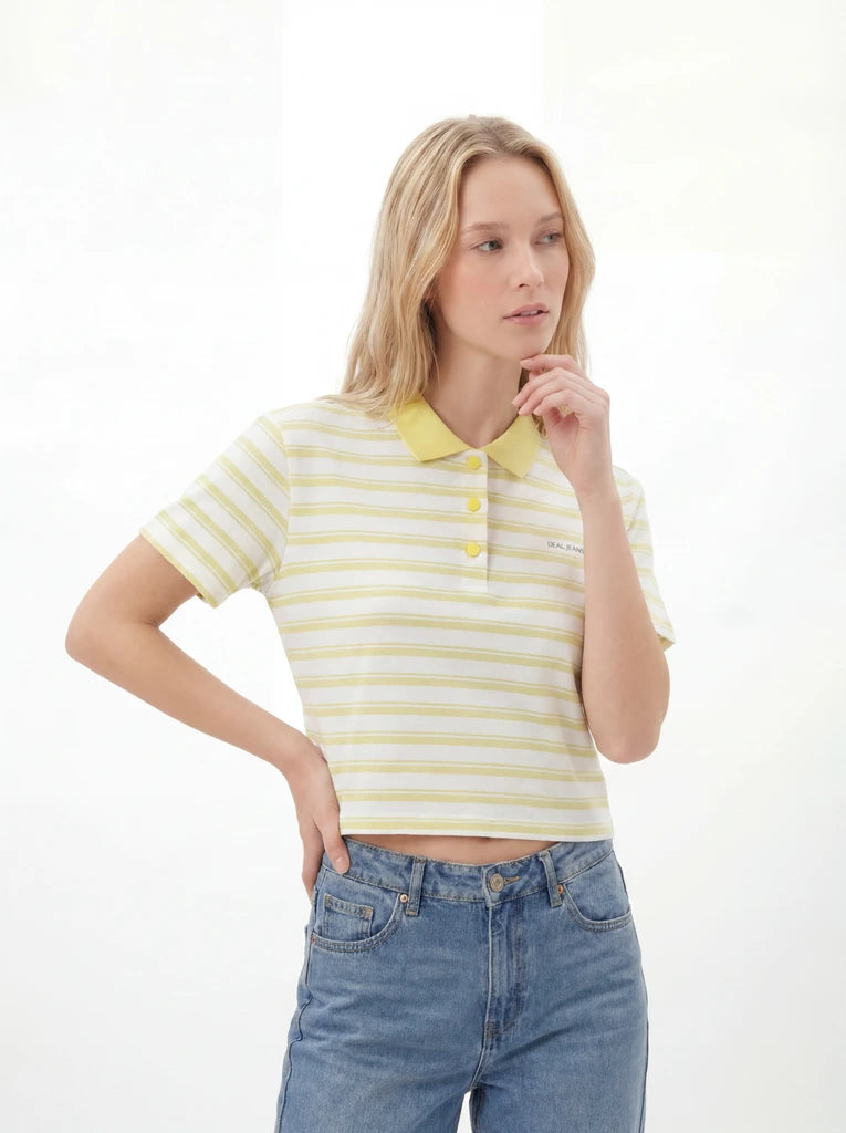 Striped Regular Fit Crew Neck T-Shirt