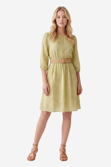 Pistachio Embroidered Fit and Flare Dress