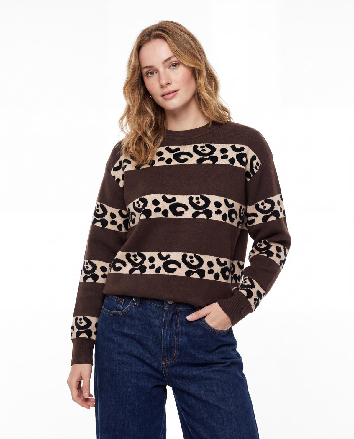 Leopard Stripe Jacquard Knit Sweater